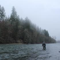 Oregon Coast Steelhead