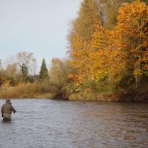 Two Dudes Fly Fishing