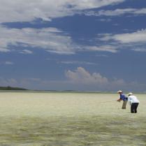 Abaco Lodge